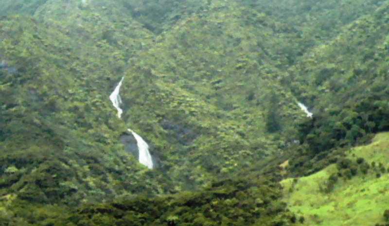 Waiotemarama Falls